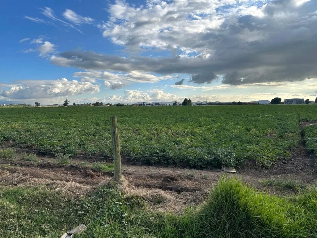 Lote de No 4 de 57.463 m² en Funza, sector Siberia