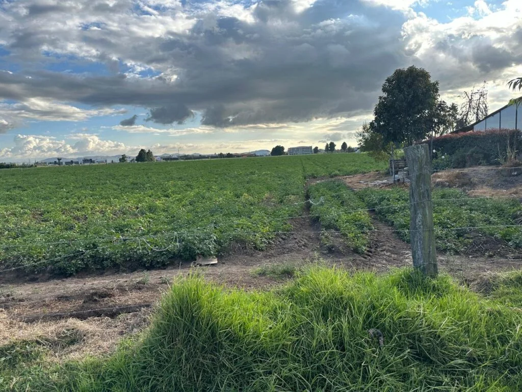 Lote No. 3 de 57.463 m² en Funza, sector Siberia